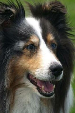 Cover of Cute Sheltie Dog Journal