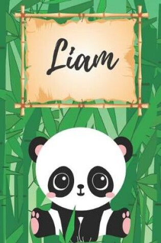 Cover of Liam Notizbuch Panda / Malbuch / Kritzelbuch / Tagebuch / Journal / DIN A5 / Geschenke