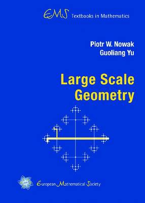 Book cover for Large Scale Geometry