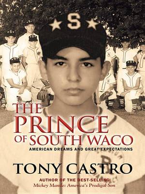 Book cover for The Prince of South Waco