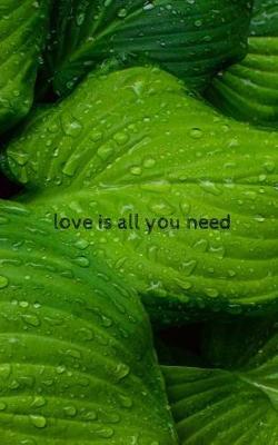 Book cover for Love is all you need