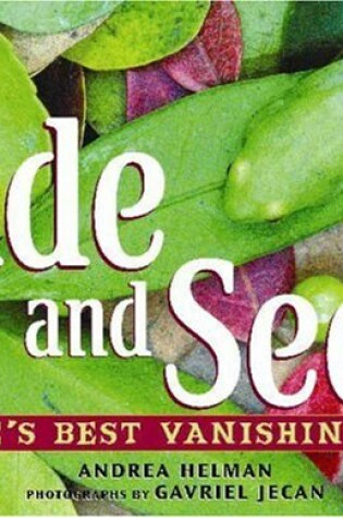 Cover of Hide and Seek