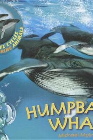 Cover of Us Lcma Humpback Whales