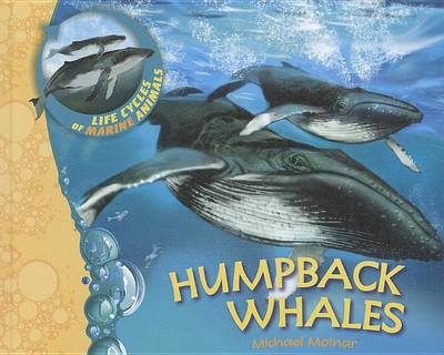 Cover of Us Lcma Humpback Whales