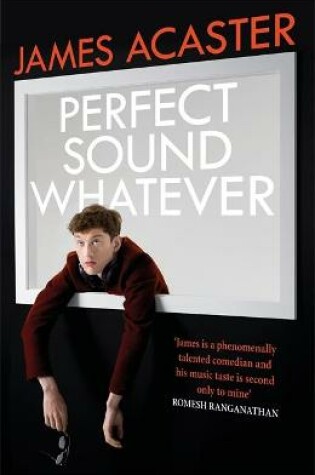 Cover of Perfect Sound Whatever
