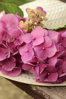 Book cover for White Hat Decorated with Hydrangeas