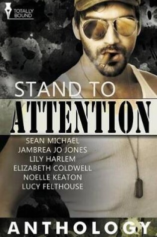 Cover of Stand to Attention
