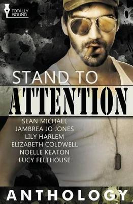 Book cover for Stand to Attention
