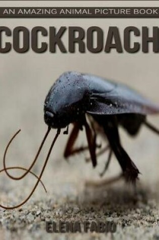 Cover of Cockroach