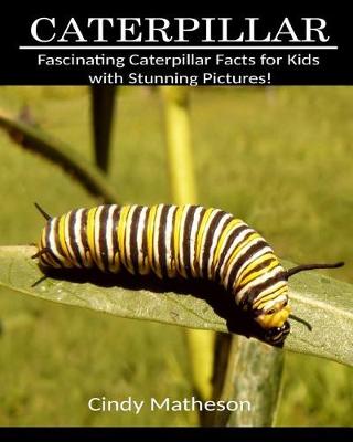 Book cover for Caterpillar