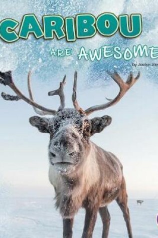 Cover of Caribou are Awesome