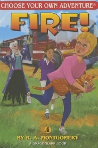 Cover of Fire!