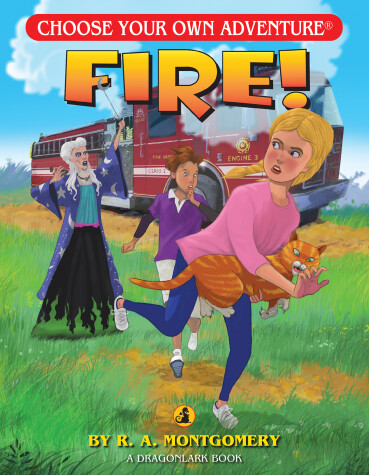 Cover of Fire!