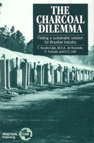 Cover of The Charcoal Dilemma