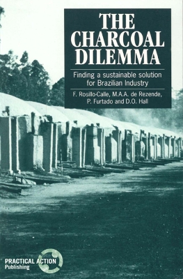 Book cover for The Charcoal Dilemma