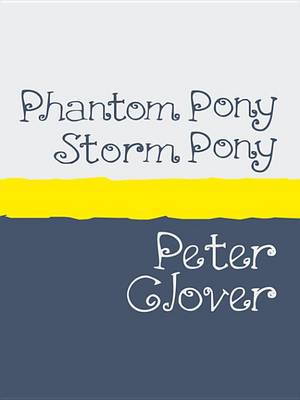 Book cover for Phantom Pony, Storm Pony