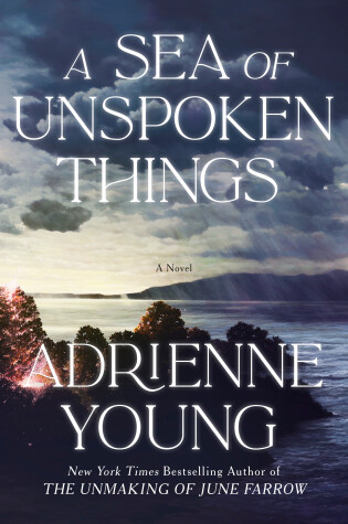 Cover of A Sea of Unspoken Things