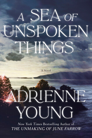 Book cover for A Sea of Unspoken Things