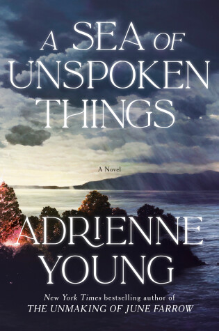 Book cover for A Sea of Unspoken Things