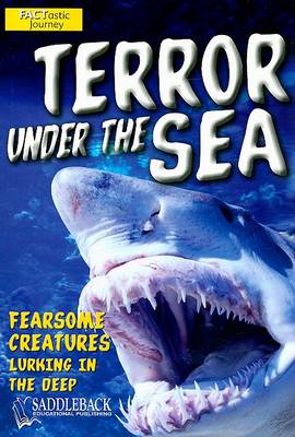 Cover of Terror Under the Sea