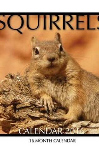 Cover of Squirrels Calendar 2016