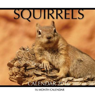 Book cover for Squirrels Calendar 2016