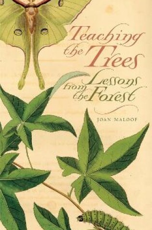 Cover of Teaching the Trees