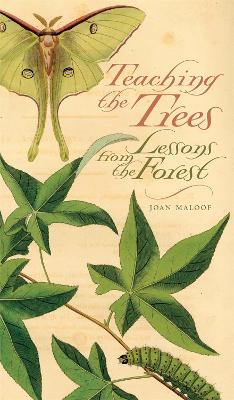 Book cover for Teaching the Trees