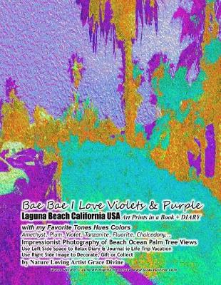 Book cover for Bae Bae I Love Violets & Purple Laguna Beach California USA Art Prints in a Book + DIARY with my Favorite Tones Hues Colors Amethyst, Plum, Violet, Tanzanite, Fluorite, Chalcedony... Impressionist Photography of Beach Ocean Palm Tree Views