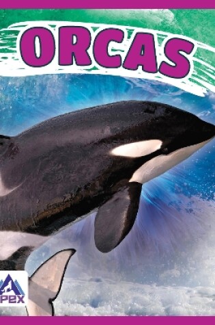Cover of Giants of the Sea: Orcas