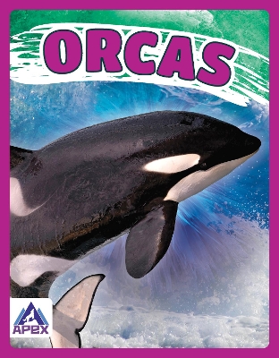 Book cover for Giants of the Sea: Orcas