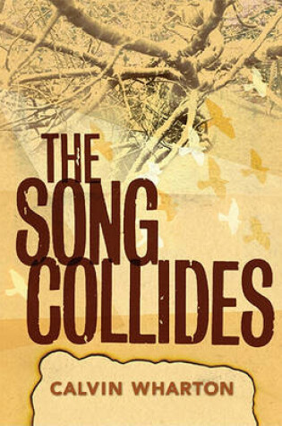 Cover of The Song Collides