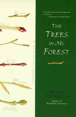 Book cover for The Trees in My Forest