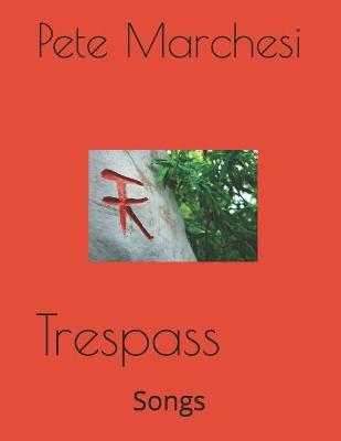 Book cover for Trespass