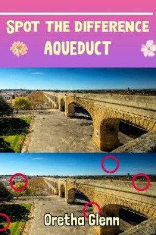 Cover of Spot the difference Aqueduct