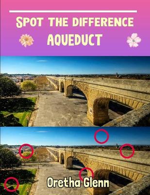 Book cover for Spot the difference Aqueduct