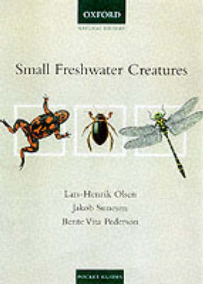 Cover of Small Freshwater Creatures