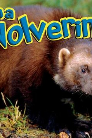 Cover of I Am a Wolverine