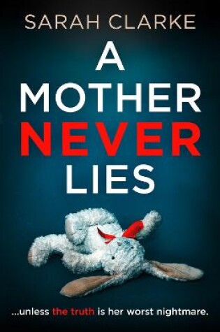 Cover of A Mother Never Lies