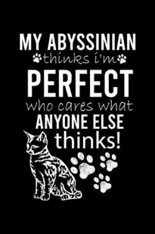 Cover of My Abyssinian Thinks I'm Perfect Who Cares What Anyone Else Thinks