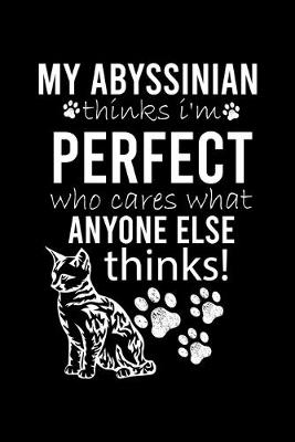 Book cover for My Abyssinian Thinks I'm Perfect Who Cares What Anyone Else Thinks