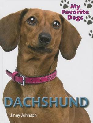 Book cover for Dachshund