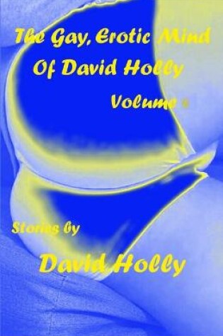 Cover of The Gay, Erotic Mind of David Holly, Volume 4