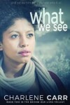 Book cover for What We See