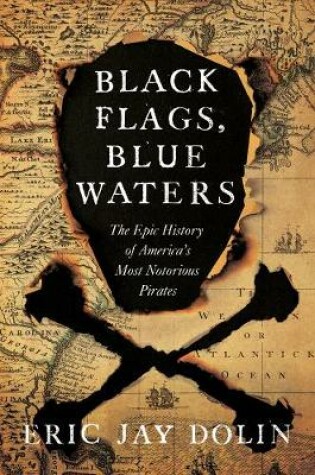 Cover of Black Flags, Blue Waters