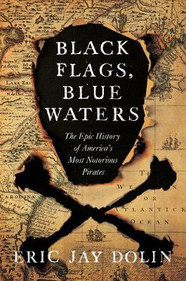 Book cover for Black Flags, Blue Waters