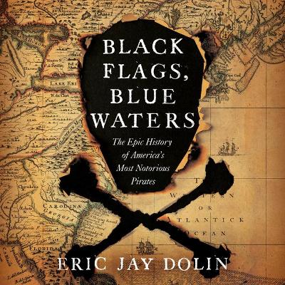 Book cover for Black Flags, Blue Waters