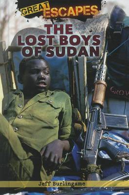 Book cover for The Lost Boys of Sudan