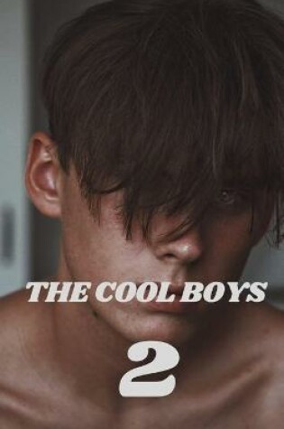 Cover of The Cool Boys 2