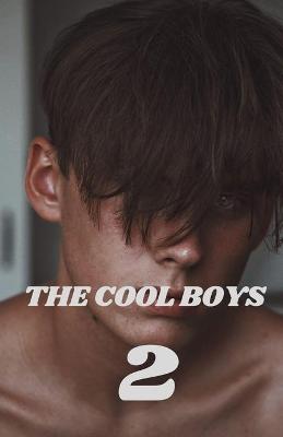 Book cover for The Cool Boys 2